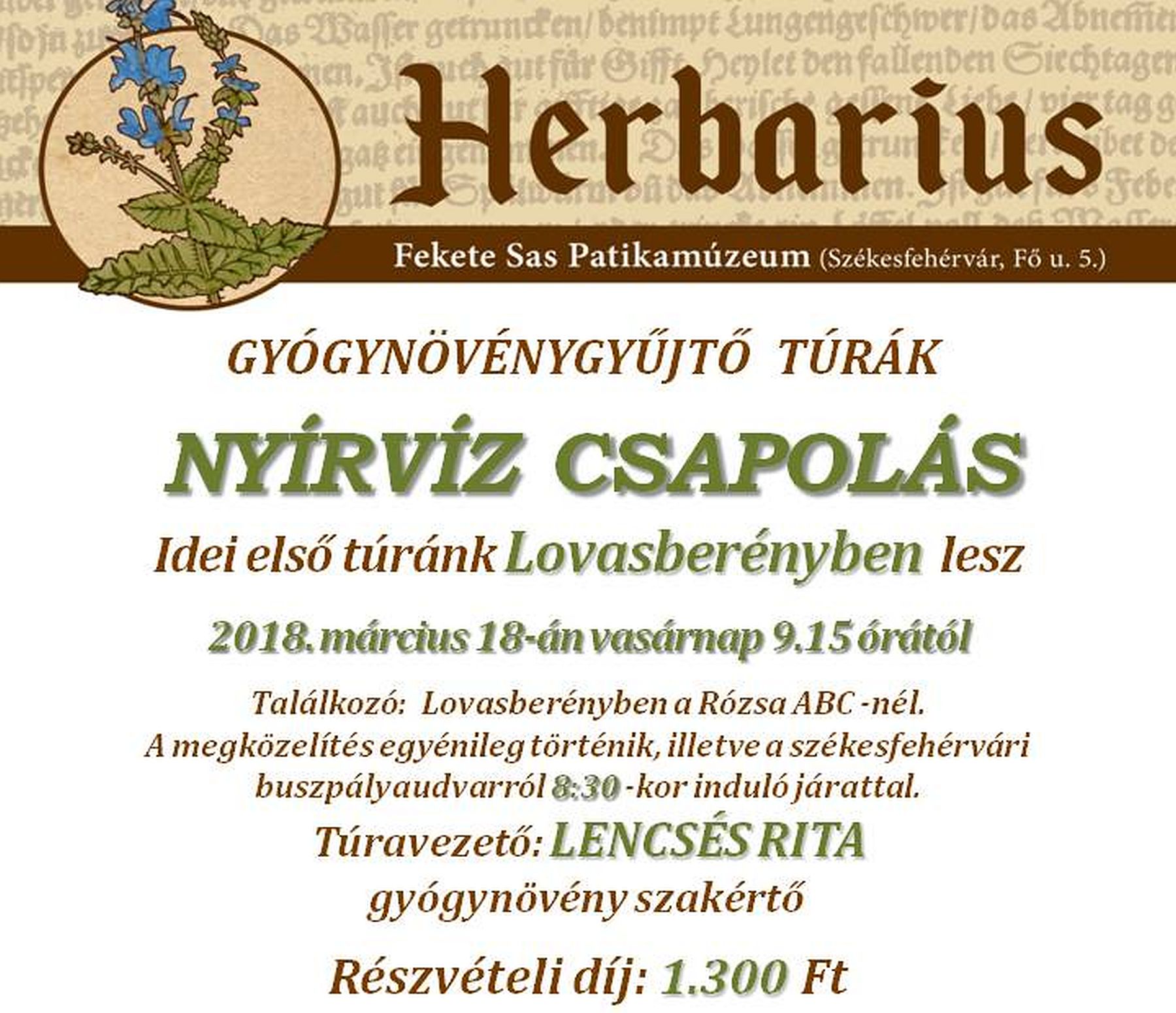 Az erdő kincse a virics - az első tavaszi Herbarius túra célpontja Lovasberény lesz